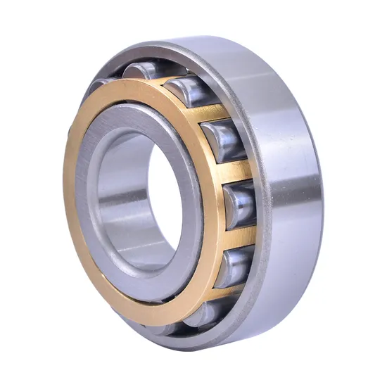 BDL NF305 Cylindrical Roller Bearing for Electric Generators