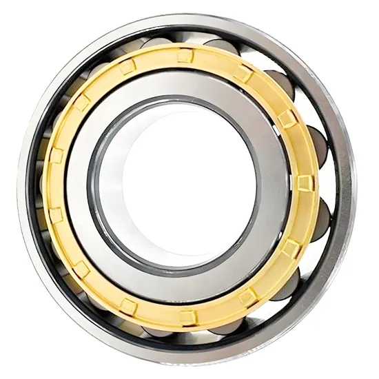 BDL NJ305E Cylindrical Roller Bearing High Load Capacity for Rolling Mills