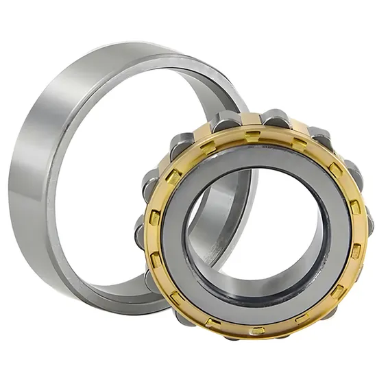Bdl-Cylindrical-Roller-Bearing-Nj305etn1-Cylindrical-Roller-Bearing-for-Vibrating-Screen