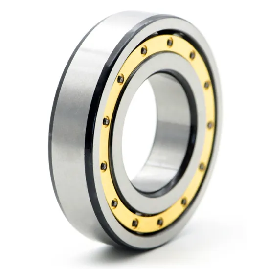 BDL NJ305ETN1 Cylindrical Roller Bearing High Load Capacity for Vibrating Screens