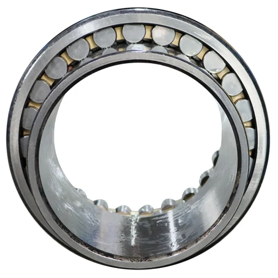 BDL NN3010K-P5 High Precision Cylindrical Roller Bearing W33 Sealed