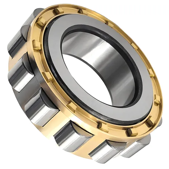 BDL NF205 Cylindrical Roller Bearing for Spindle