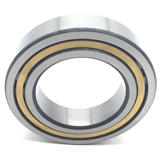 Bdl-N2208e-Nj2208e-NF2208e-Nu2208e-Nup2208e-Cylindrical-Roller-Bearing