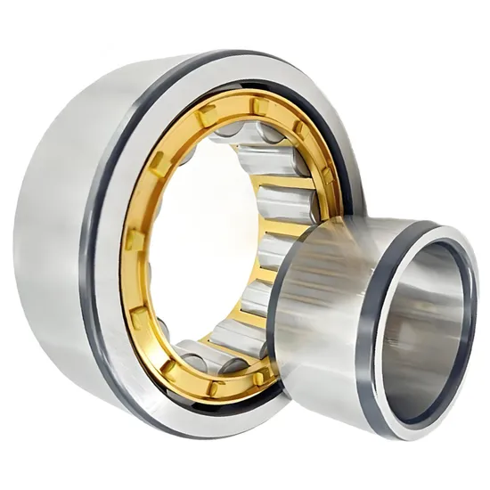 Bdl N222E Cylindrical Roller Bearing 110x200x53mm High Load Capacity