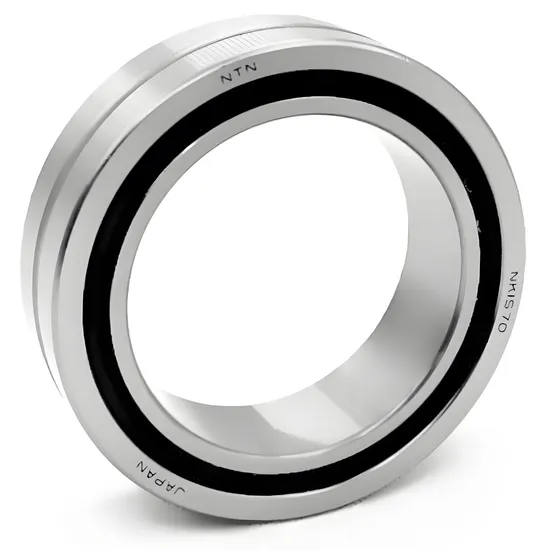 BDL NK110/30 NK110/40 Needle Roller Bearings High Load Capacity