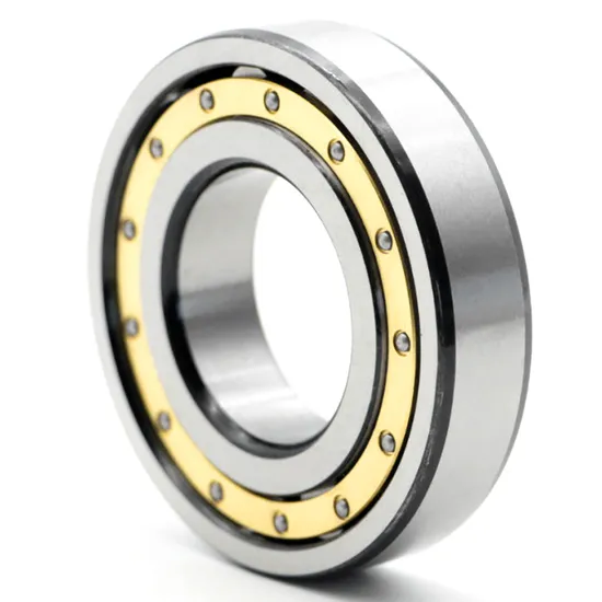 BDL NU2240 Cylindrical Roller Bearing High Precision for Spindle