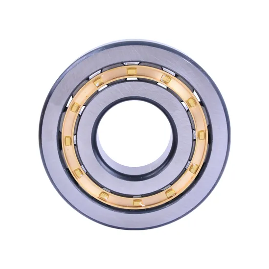 Bdl-Single-Row-Cylindrical-Cross-Roller-Bearing-N203