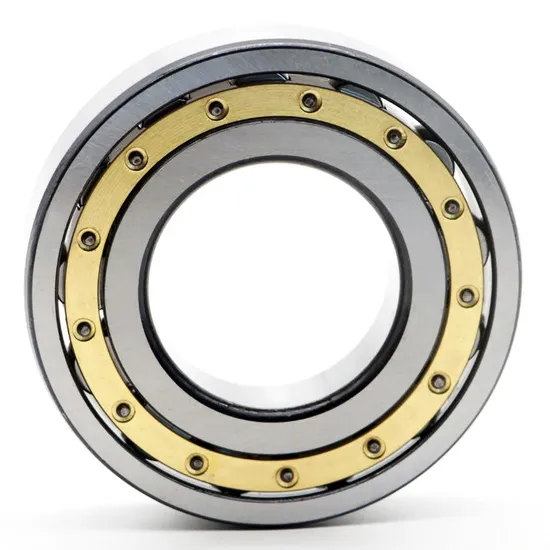 China N308em Cylindrical Roller Bearing High Precision