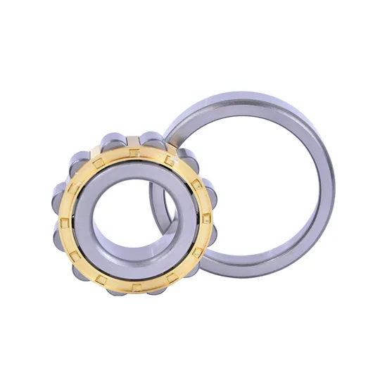 Cylindrical-Roller-Bearing-N204-NF204-Nj204-Nu204
