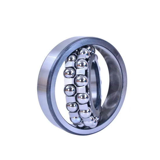 NSK-NTN-IKO-Koyo-NACHI-Bdl-Self-Aligning-Ball-Bearings-1205-1205tni-for-Metallurgy-Rolling-Mills-Mines-Petroleum-Paper-Cement-