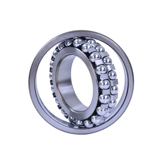 NSK-NTN-IKO-Koyo-NACHI-Bdl-Self-Aligning-Ball-Bearings-1205-1205tni-for-Metallurgy-Rolling-Mills-Mines-Petroleum-Paper-Cement-