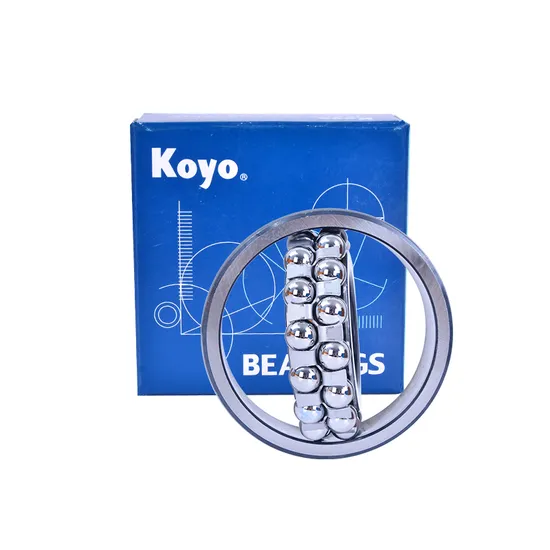 NSK-NTN-IKO-Koyo-NACHI-Bdl-Self-Aligning-Ball-Bearings-1305-1305tni-for-Heavy-Load-and-Impact-Load-Precision-Instruments-